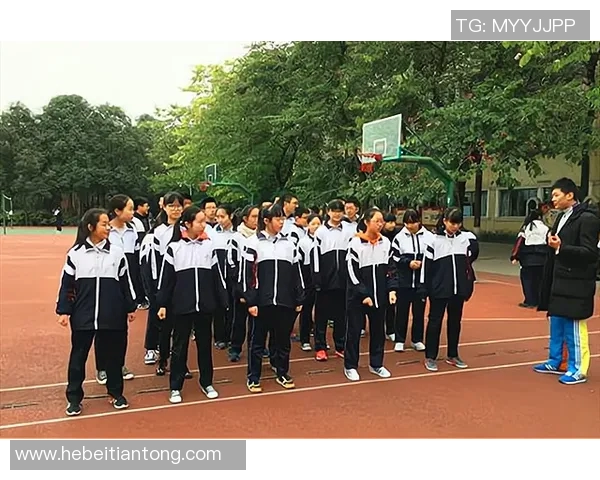 成都滑板队实力引发热议争论背后的技术与团队精神分析